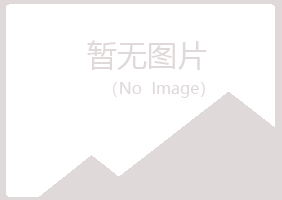 日照岚山忆山能源有限公司